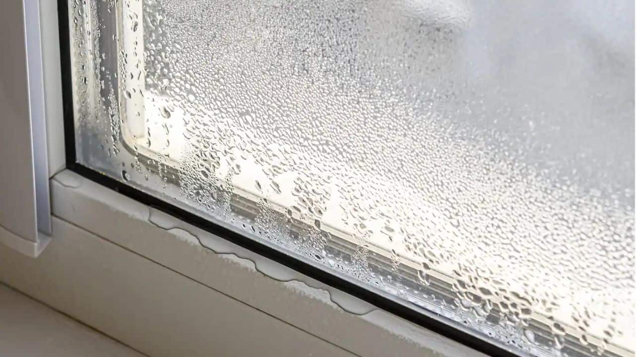 Elevate Your Home: A Comprehensive Guide to Window Solutions in San Antonio